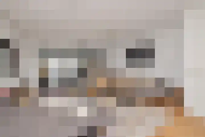 Waterrijklaan 1 Assendelft thumbnail 6
