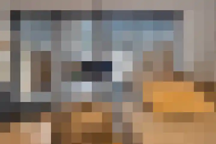 Waterrijklaan 1 Assendelft thumbnail 8