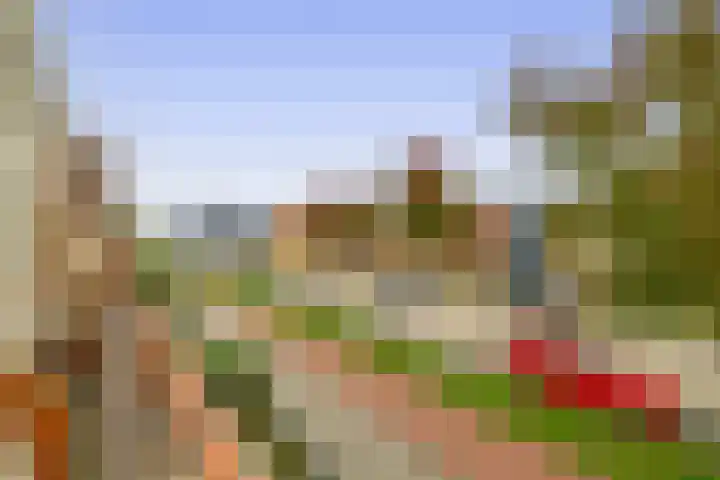 Waterrijklaan 36 Assendelft thumbnail 19