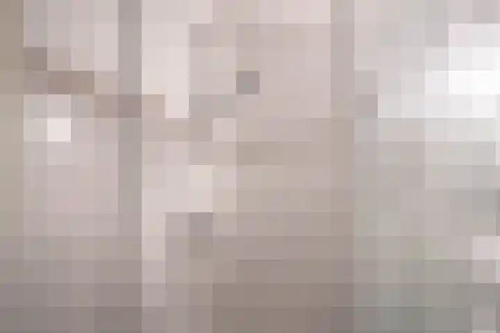 Waterrijklaan 8 Assendelft thumbnail 31