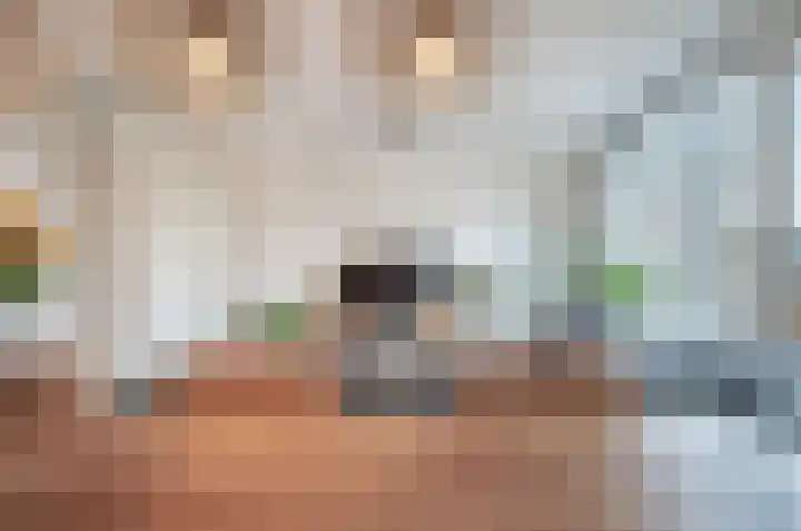 Waterrijklaan 8 Assendelft thumbnail 8