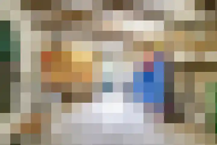Waterruit 98 Gouda thumbnail 35