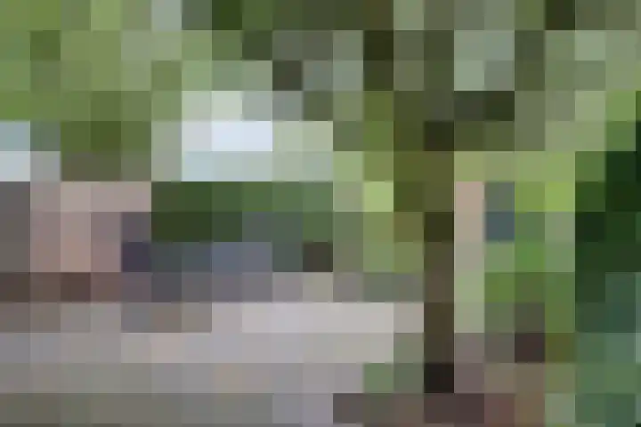 Waterruit 98 Gouda thumbnail 37