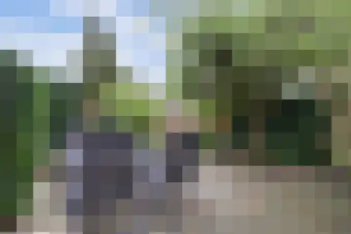 Waterruit 98 Gouda thumbnail 38