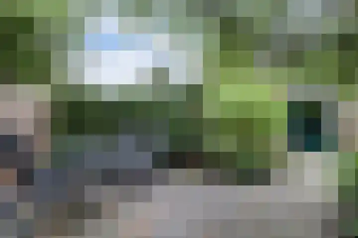Waterruit 98 Gouda thumbnail 39