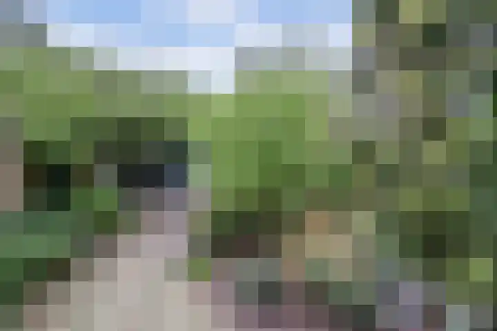 Waterruit 98 Gouda thumbnail 40