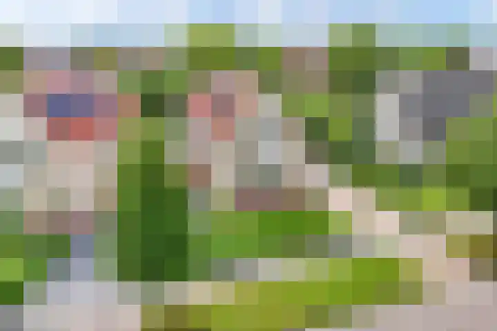 Waterruit 98 Gouda thumbnail 42