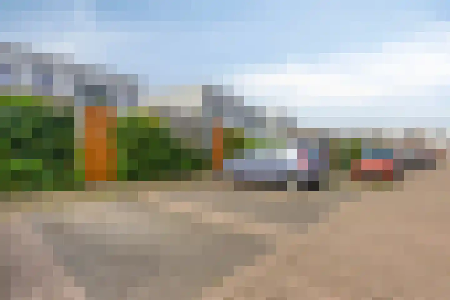 Watersalamander 12 Goirle thumbnail 30