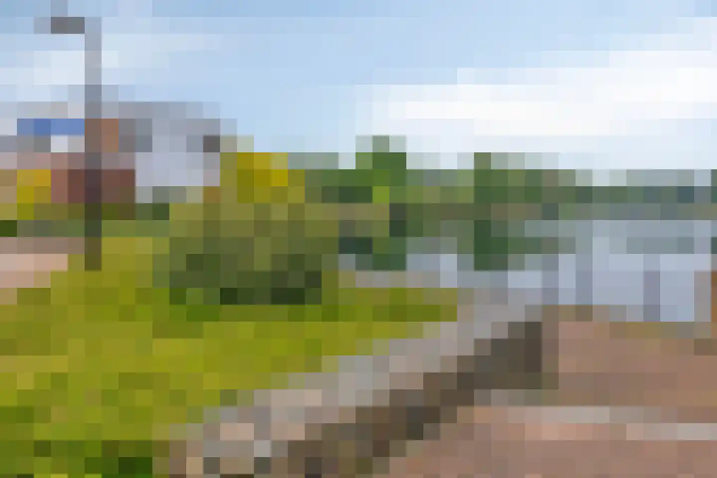 Watersalamander 12 Goirle thumbnail 32