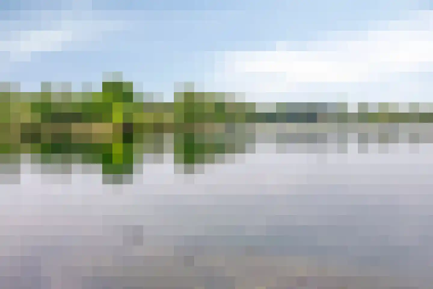 Watersalamander 12 Goirle thumbnail 33
