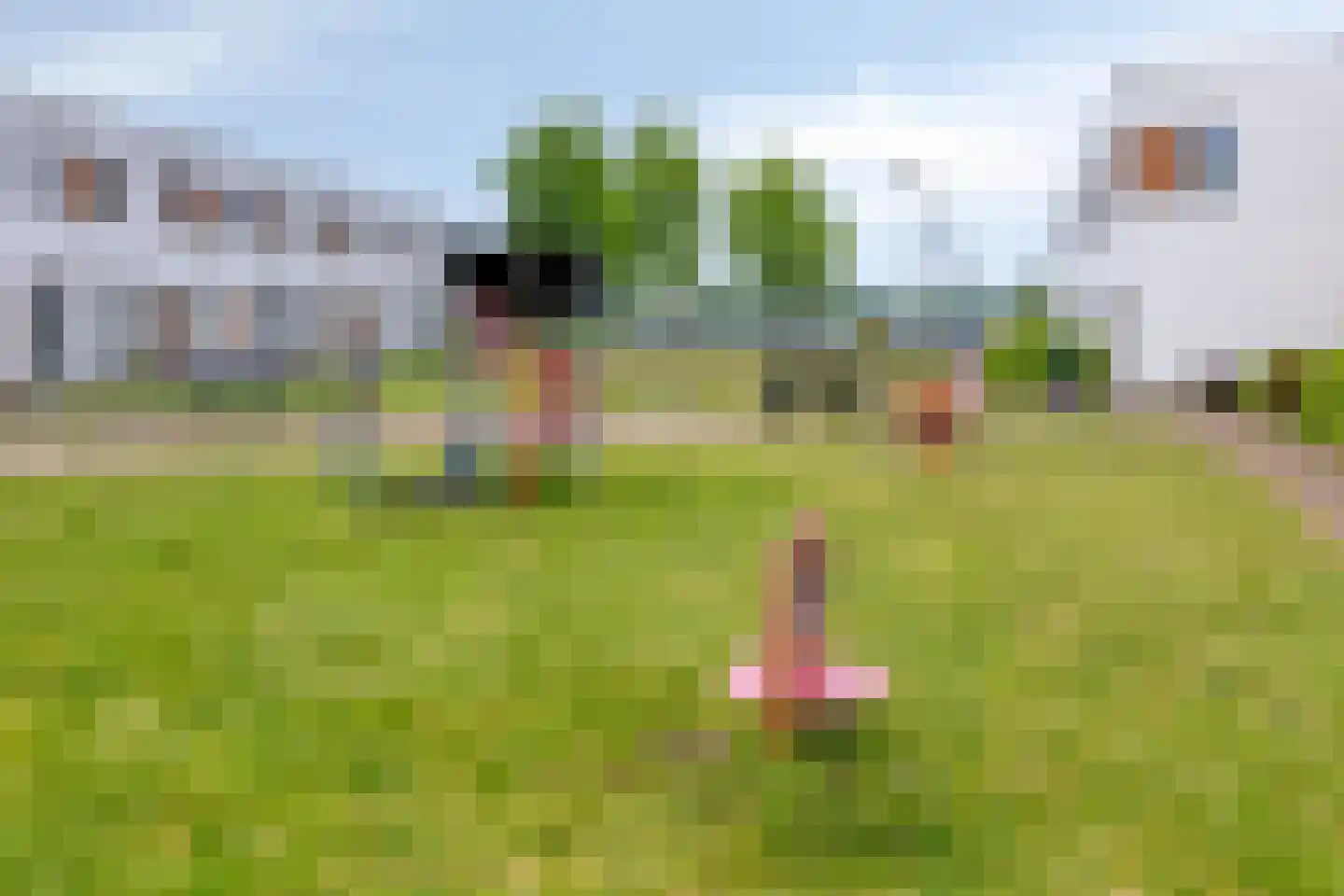 Watersalamander 12 Goirle thumbnail 34