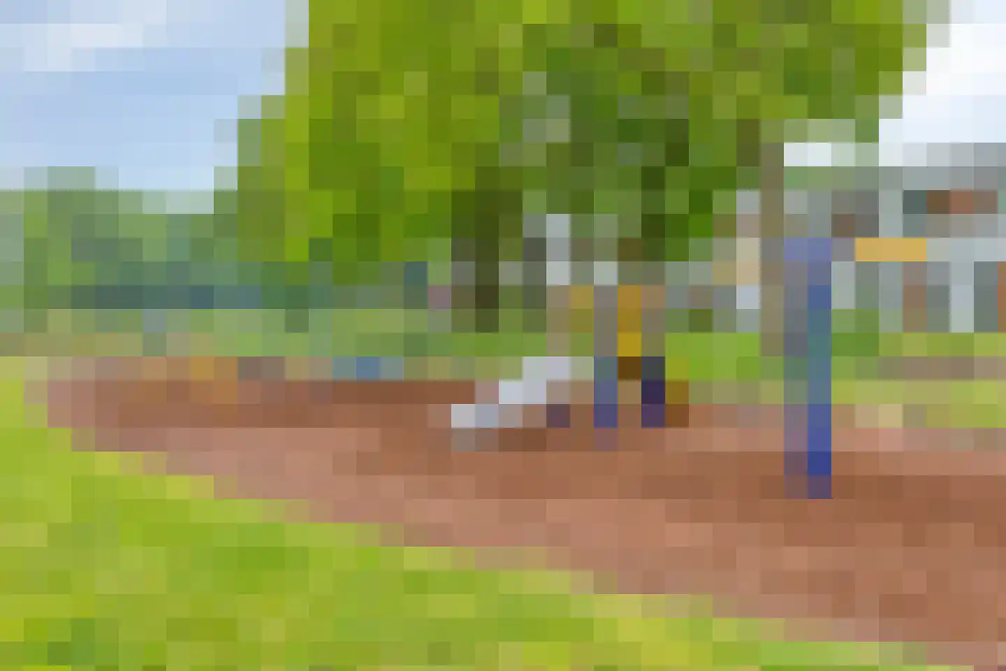 Watersalamander 12 Goirle thumbnail 35
