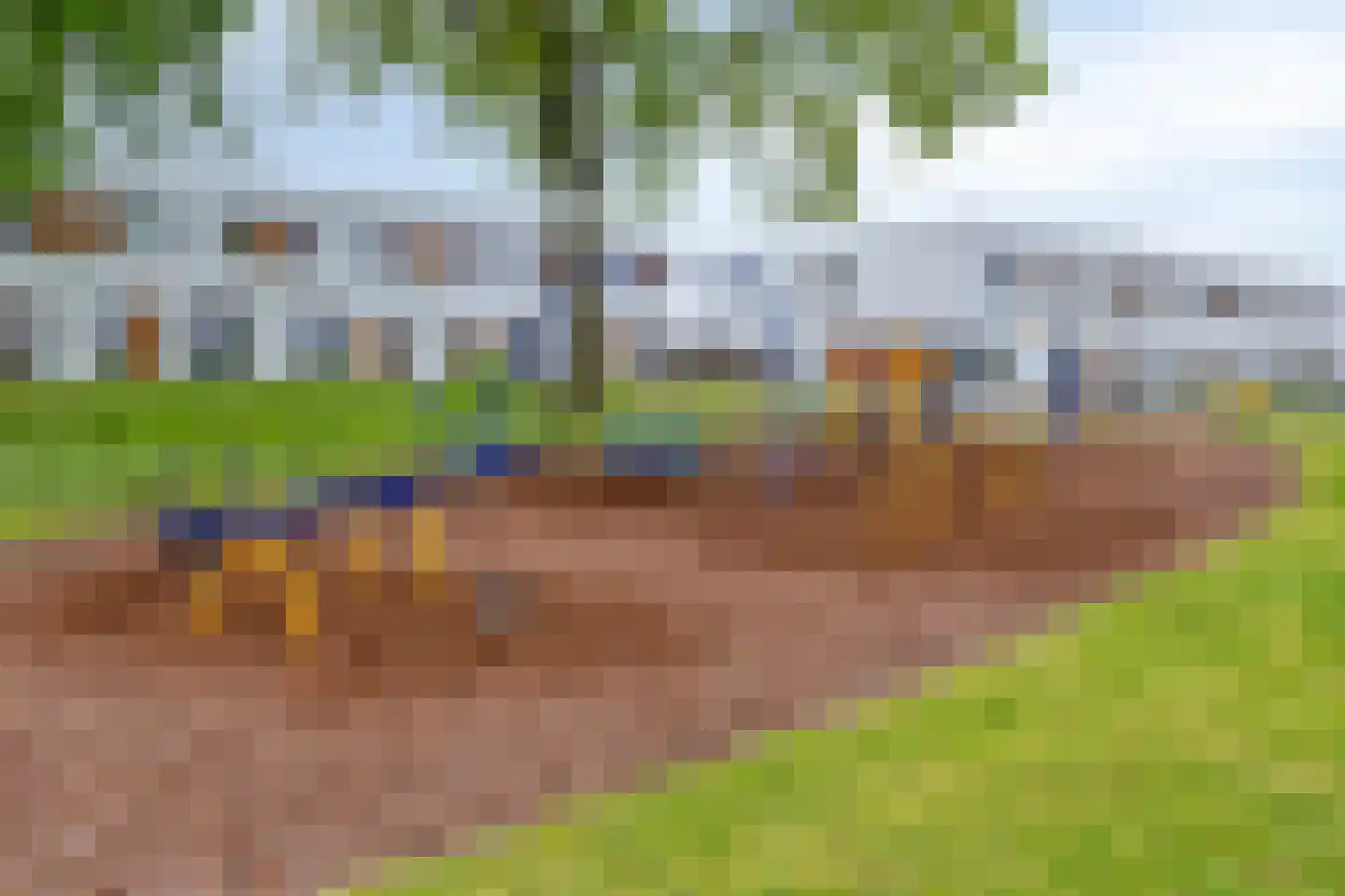 Watersalamander 12 Goirle thumbnail 36