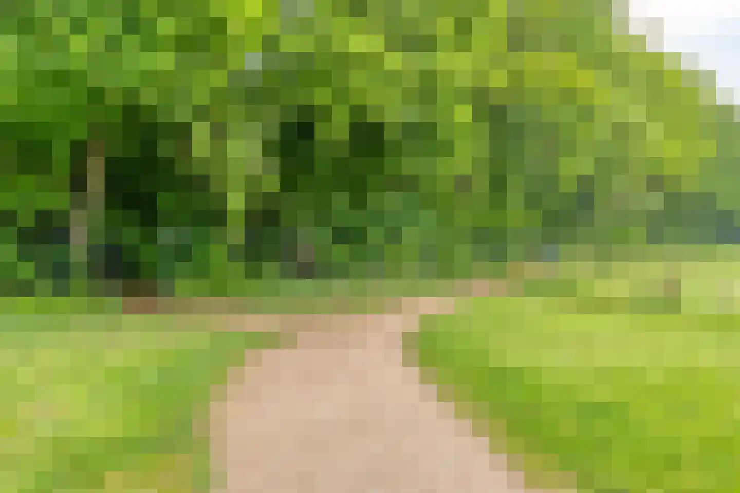 Watersalamander 12 Goirle thumbnail 37