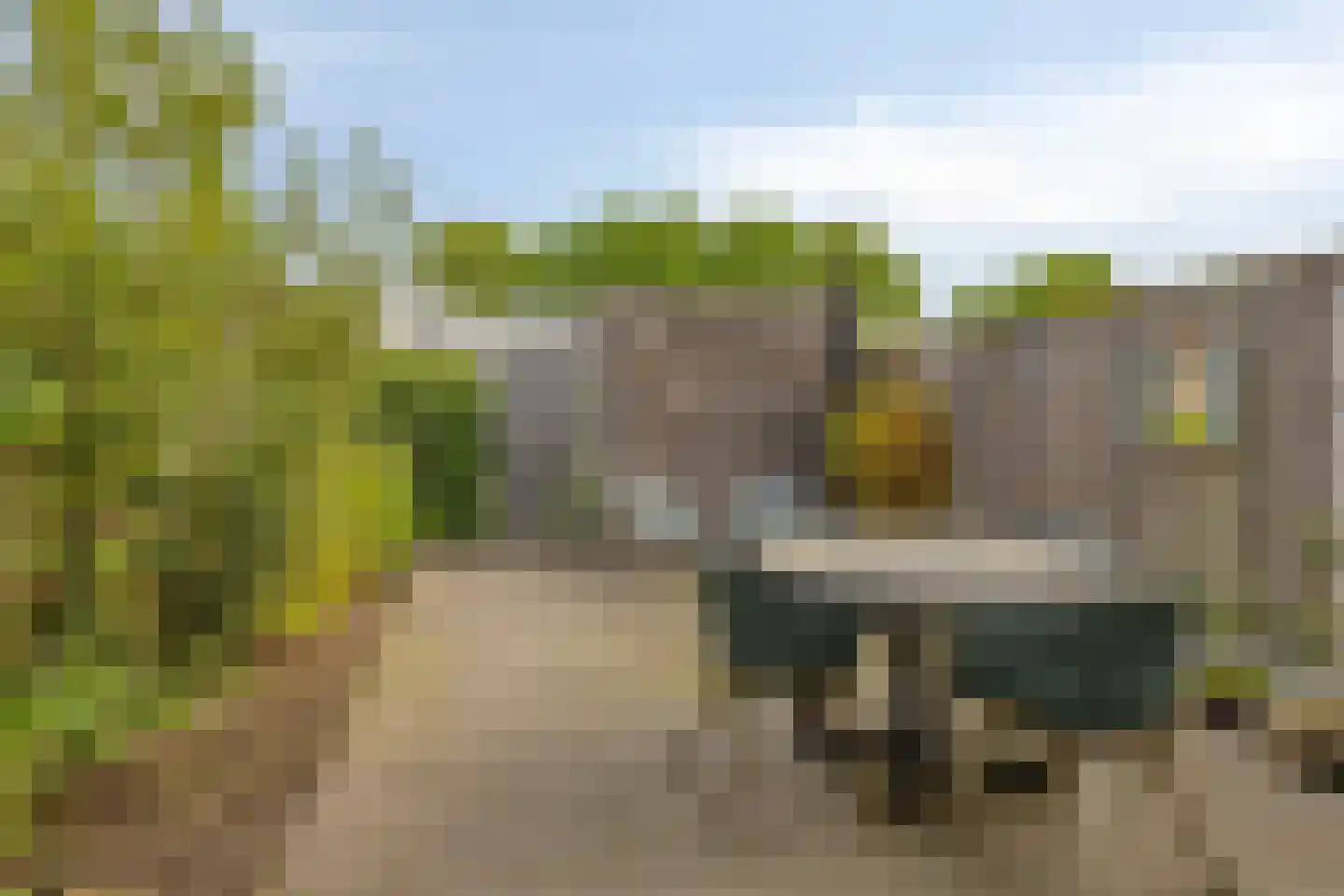 Watersalamander 12 Goirle thumbnail 4