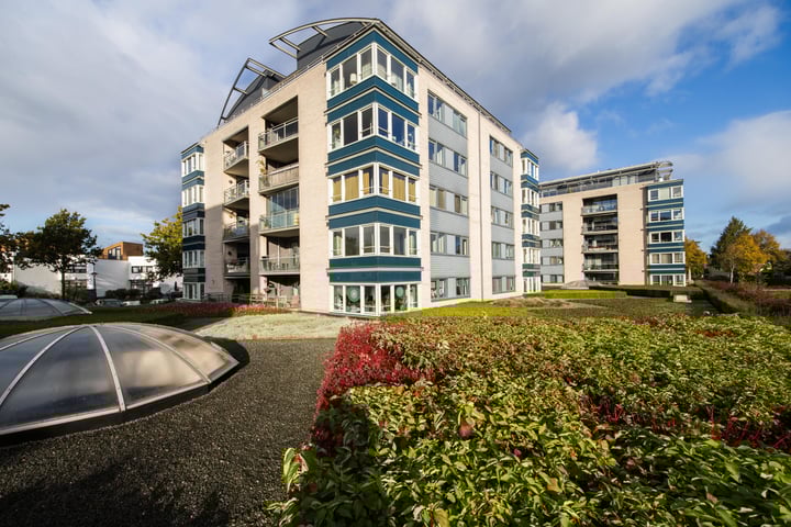 Watersalamander 29 in Amersfoort photo