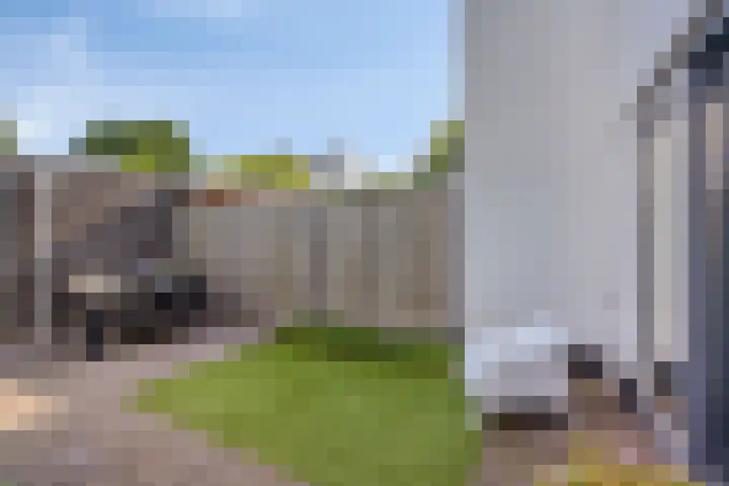 Watersalamander 4 Goirle thumbnail 18