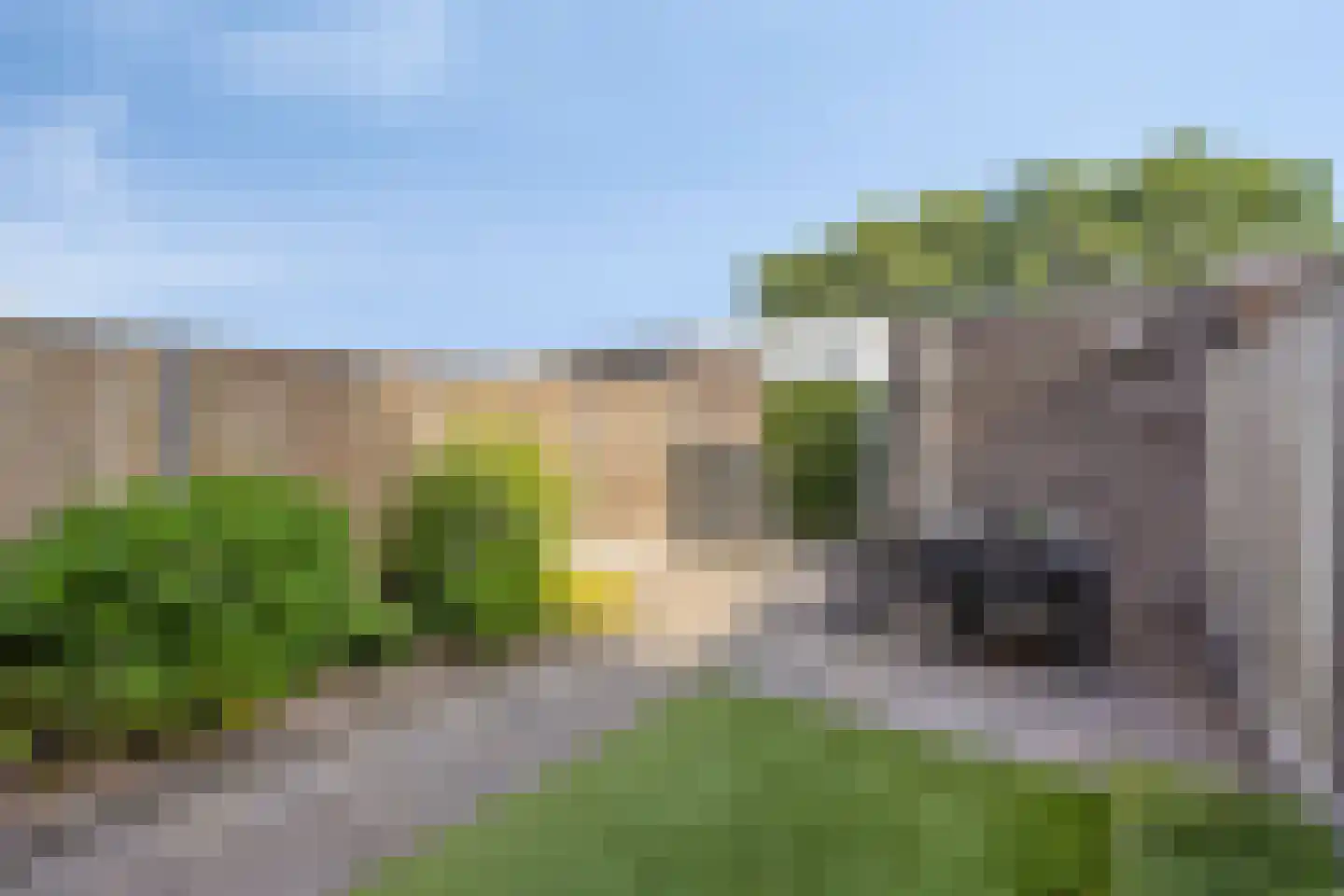 Watersalamander 4 Goirle thumbnail 20