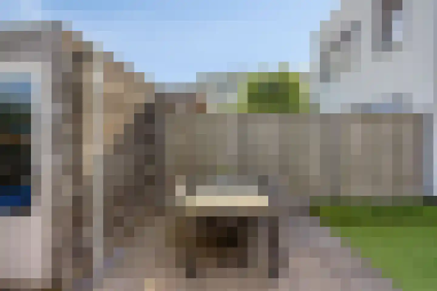 Watersalamander 4 Goirle thumbnail 22