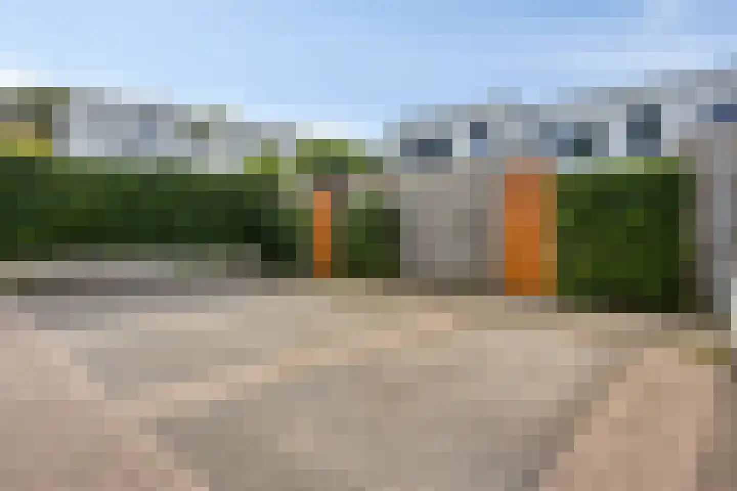 Watersalamander 4 Goirle thumbnail 23