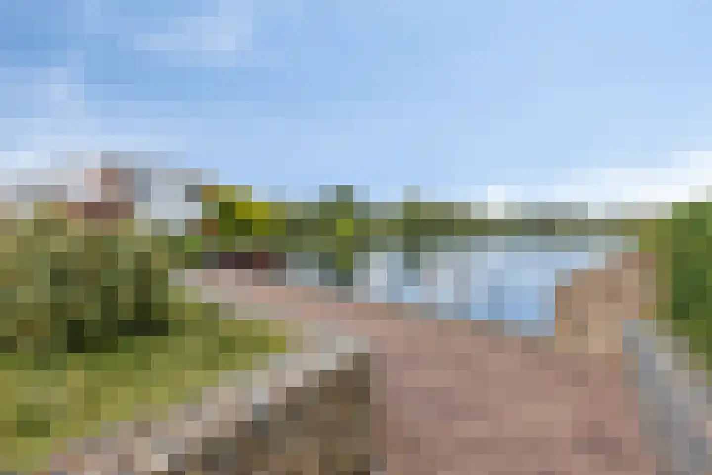 Watersalamander 4 Goirle thumbnail 24