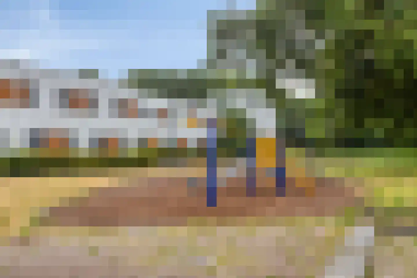 Watersalamander 4 Goirle thumbnail 25