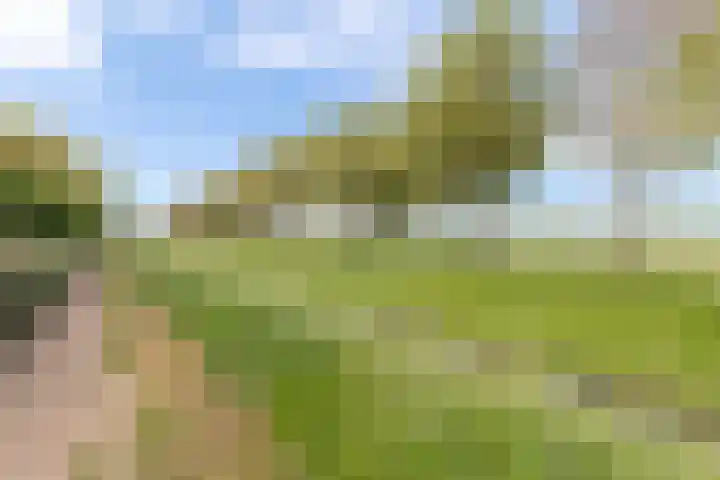 Watersalamanderhof 3 Culemborg thumbnail 30