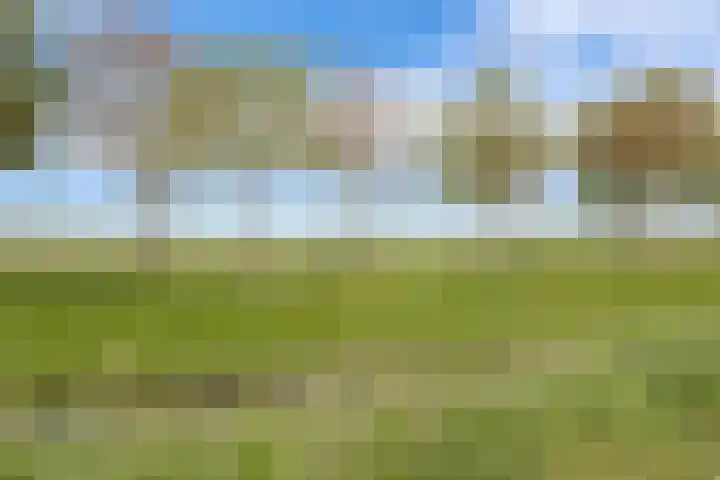 Watersalamanderhof 3 Culemborg thumbnail 31