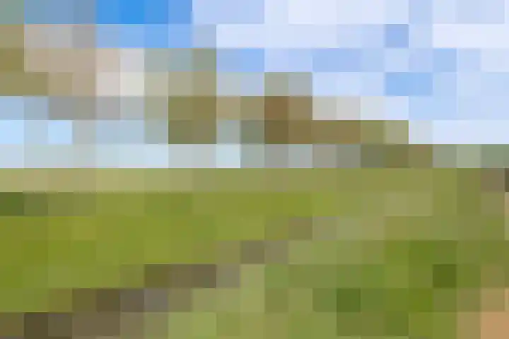 Watersalamanderhof 3 Culemborg thumbnail 32