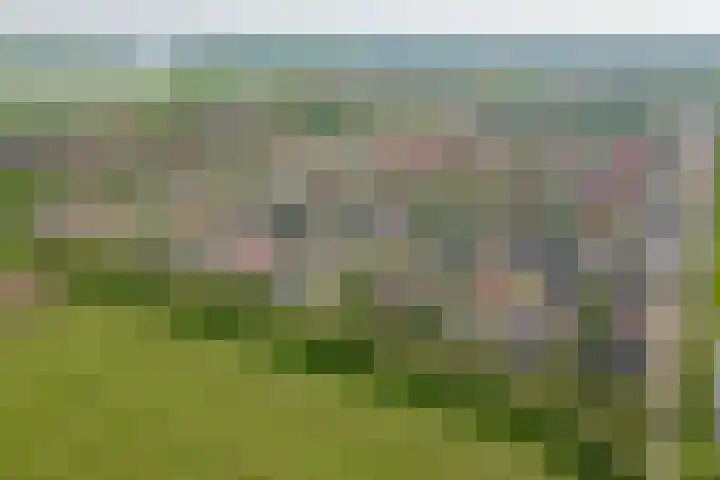 Watersalamanderhof 3 Culemborg thumbnail 33