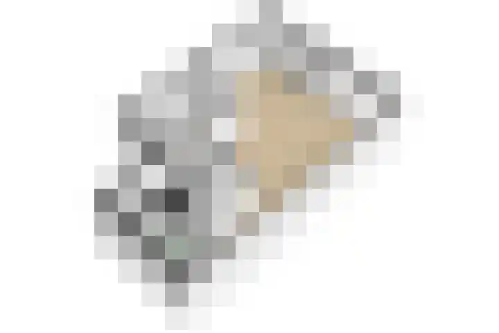 Watersalamanderhof 3 Culemborg thumbnail 35