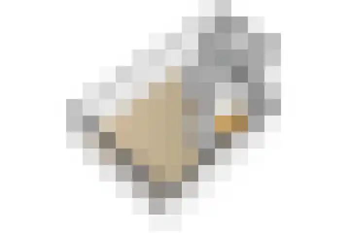Watersalamanderhof 3 Culemborg thumbnail 36