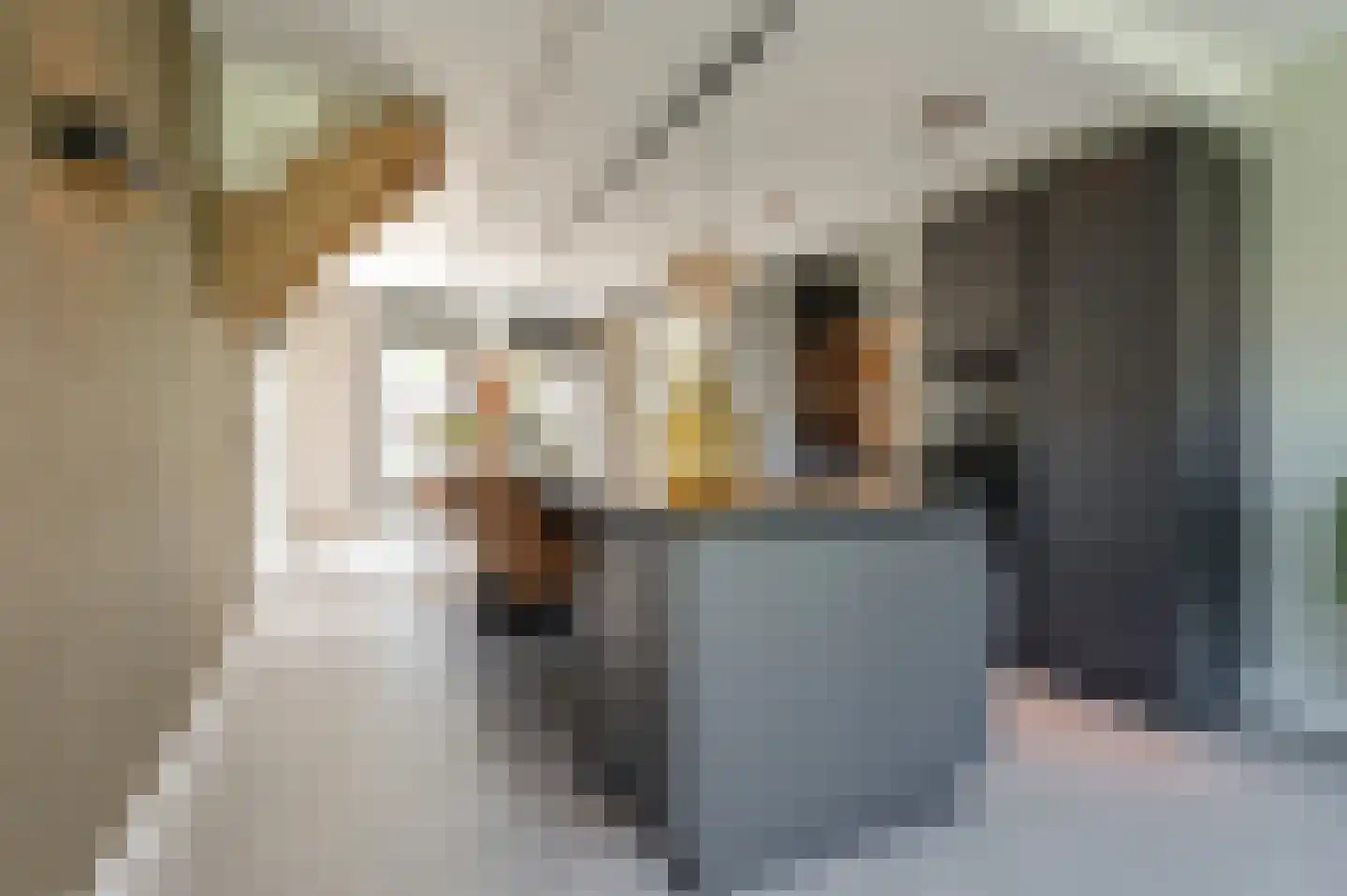 Watersalamanderhof 4 Culemborg thumbnail 15