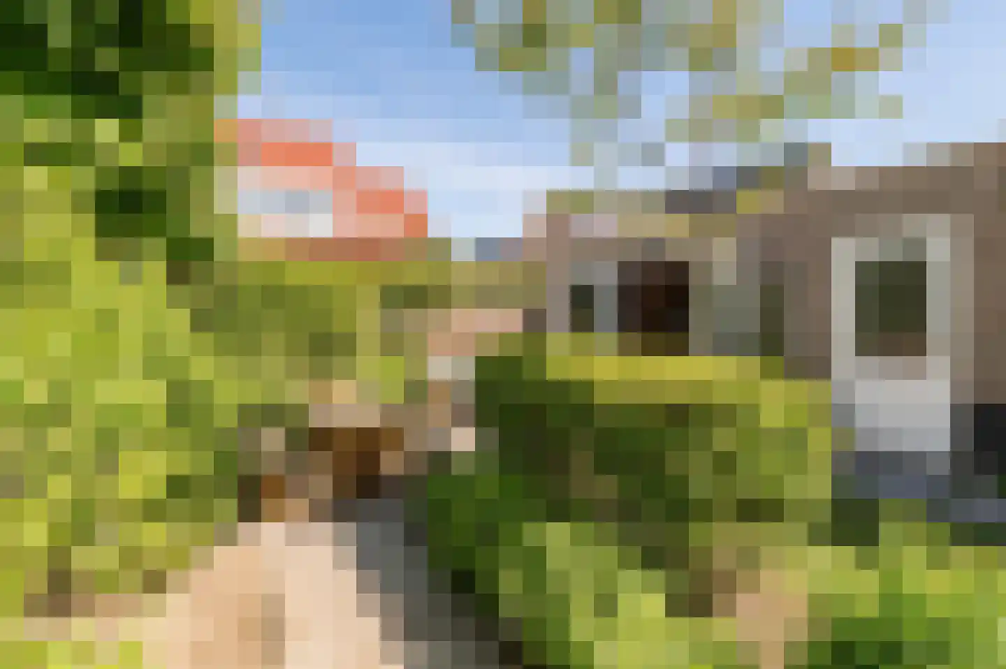 Watersalamanderhof 4 Culemborg thumbnail 26