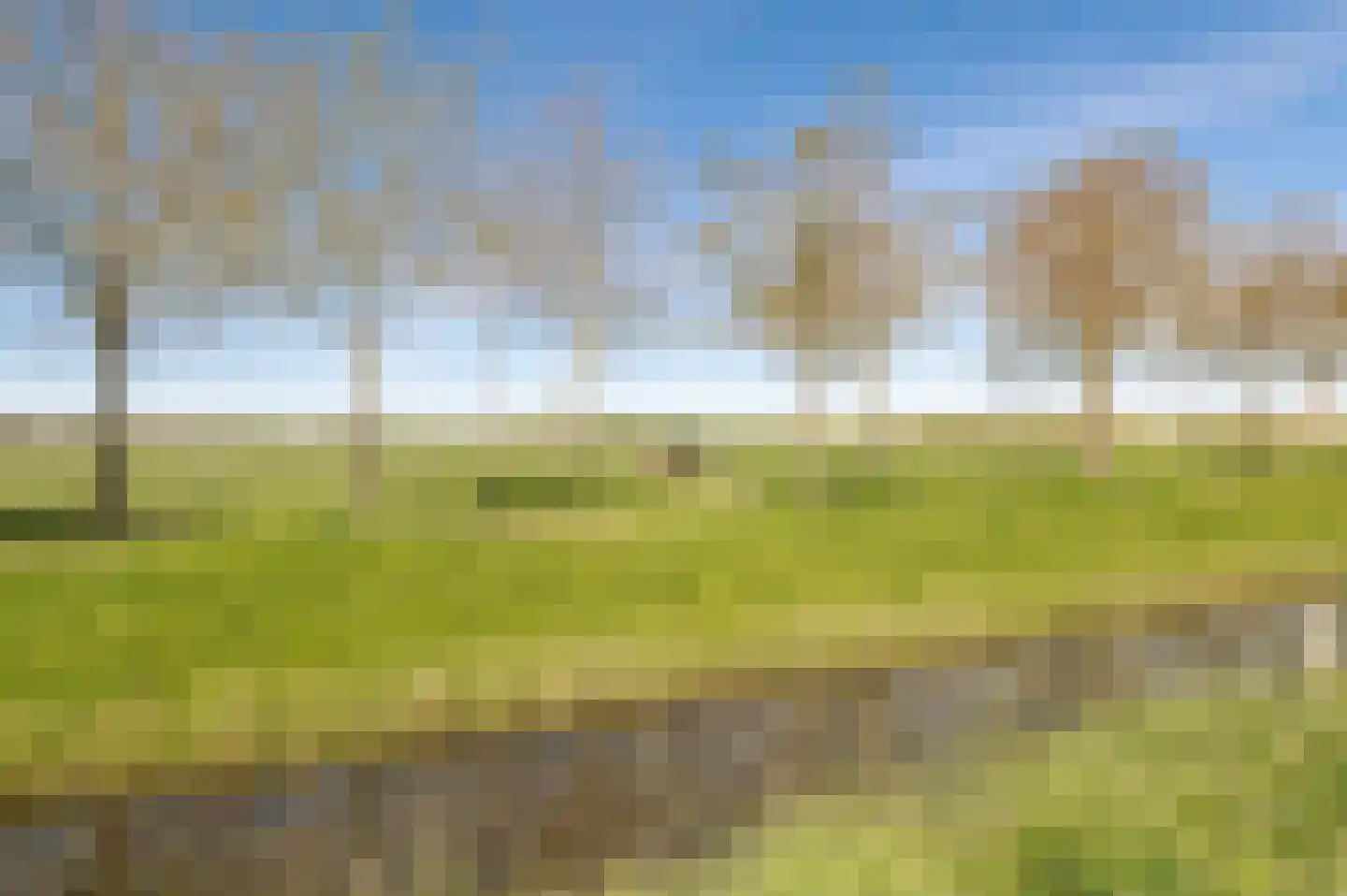 Watersalamanderhof 4 Culemborg thumbnail 53
