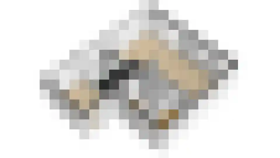 Watersalamanderhof 4 Culemborg thumbnail 57