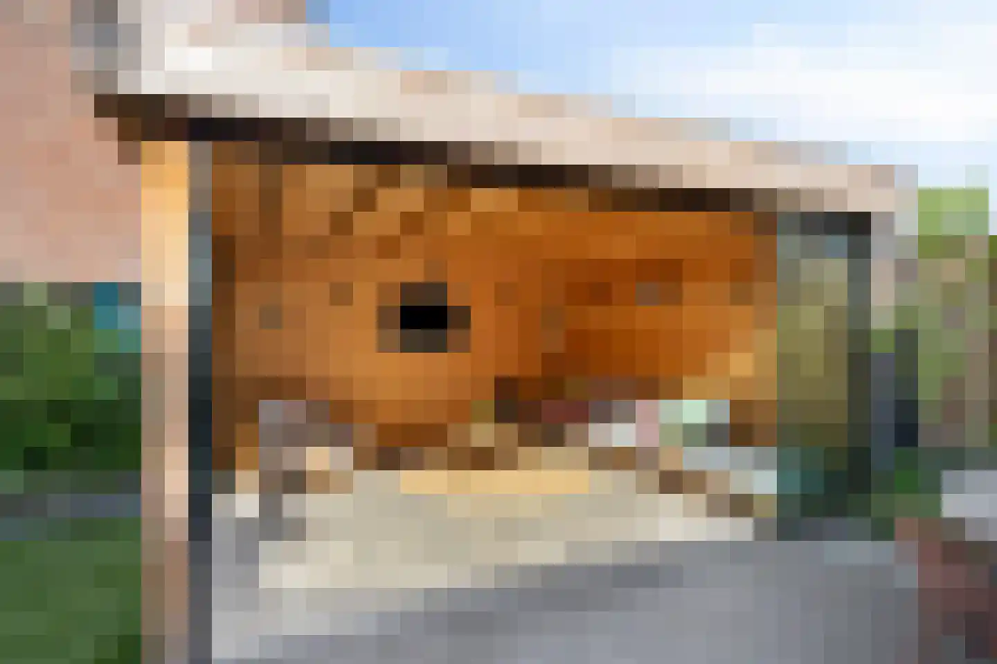 Waterschap 2 Oss thumbnail 28