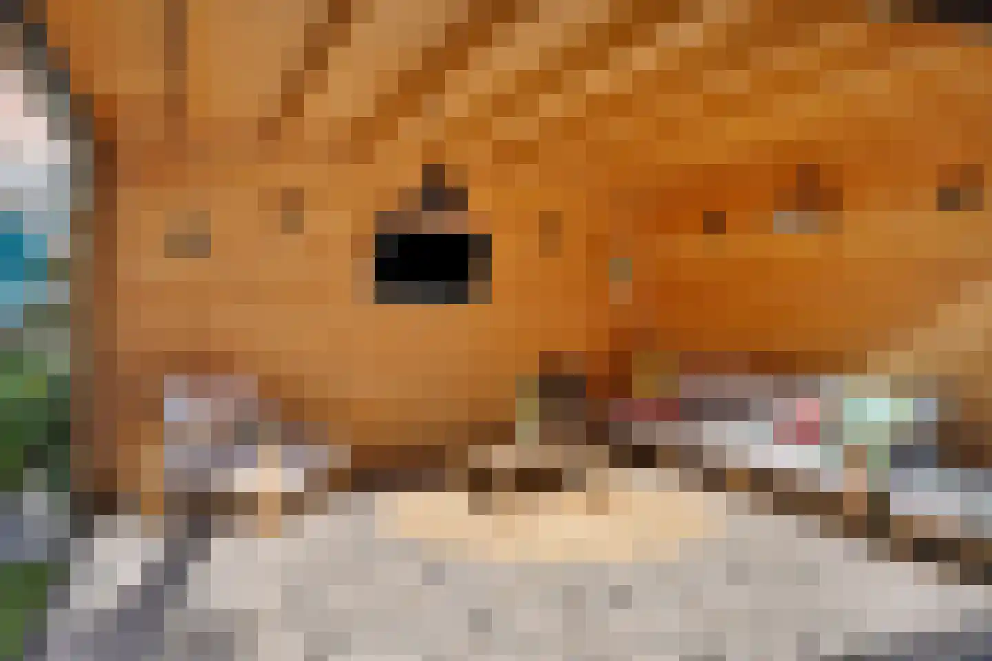 Waterschap 2 Oss thumbnail 29