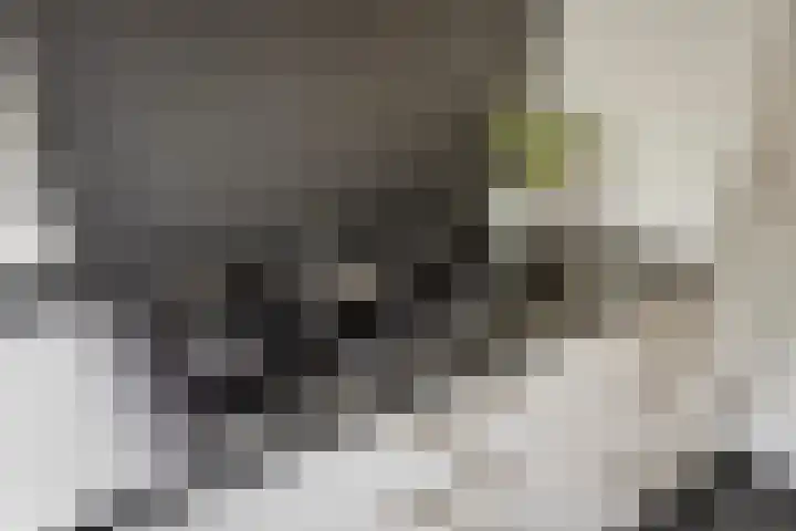 Waterschap 31 Oss thumbnail 24