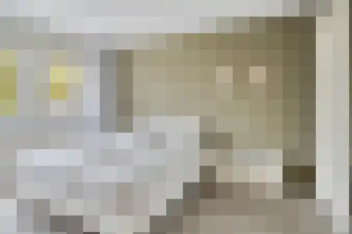 Waterschap 31 Oss thumbnail 30