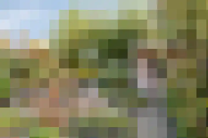 Waterschap 31 Oss thumbnail 4