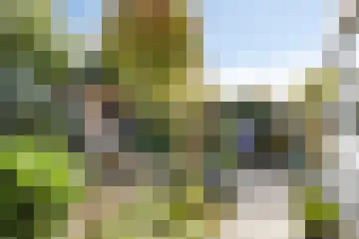 Waterschap 31 Oss thumbnail 45
