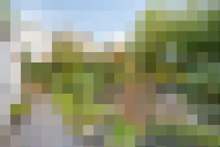 Waterschap 31 Oss thumbnail 46