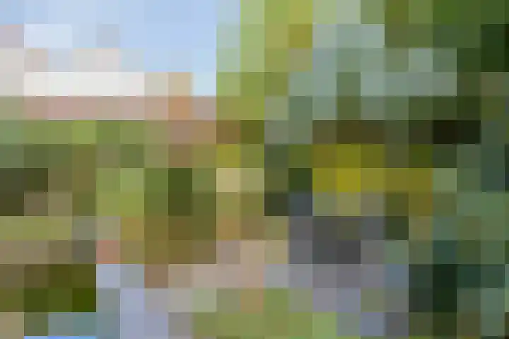 Waterschap 31 Oss thumbnail 47