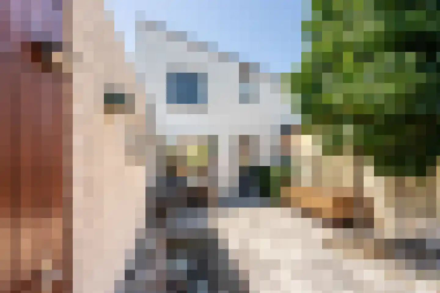 Waterschap 53 Oss thumbnail 37