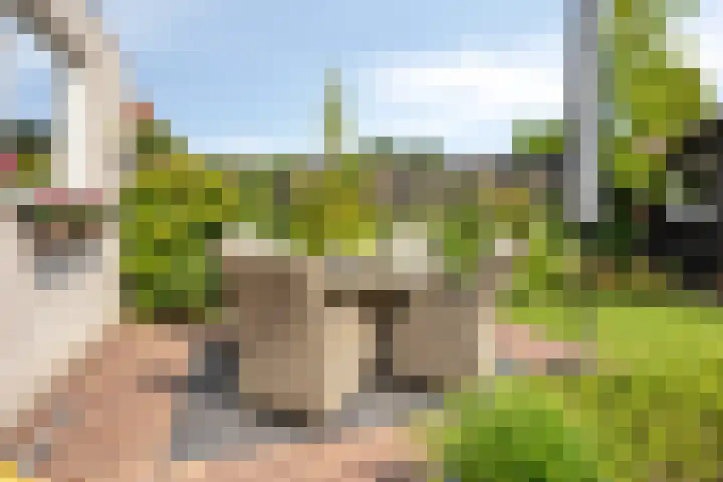 Waterschap 61 Oss thumbnail 19