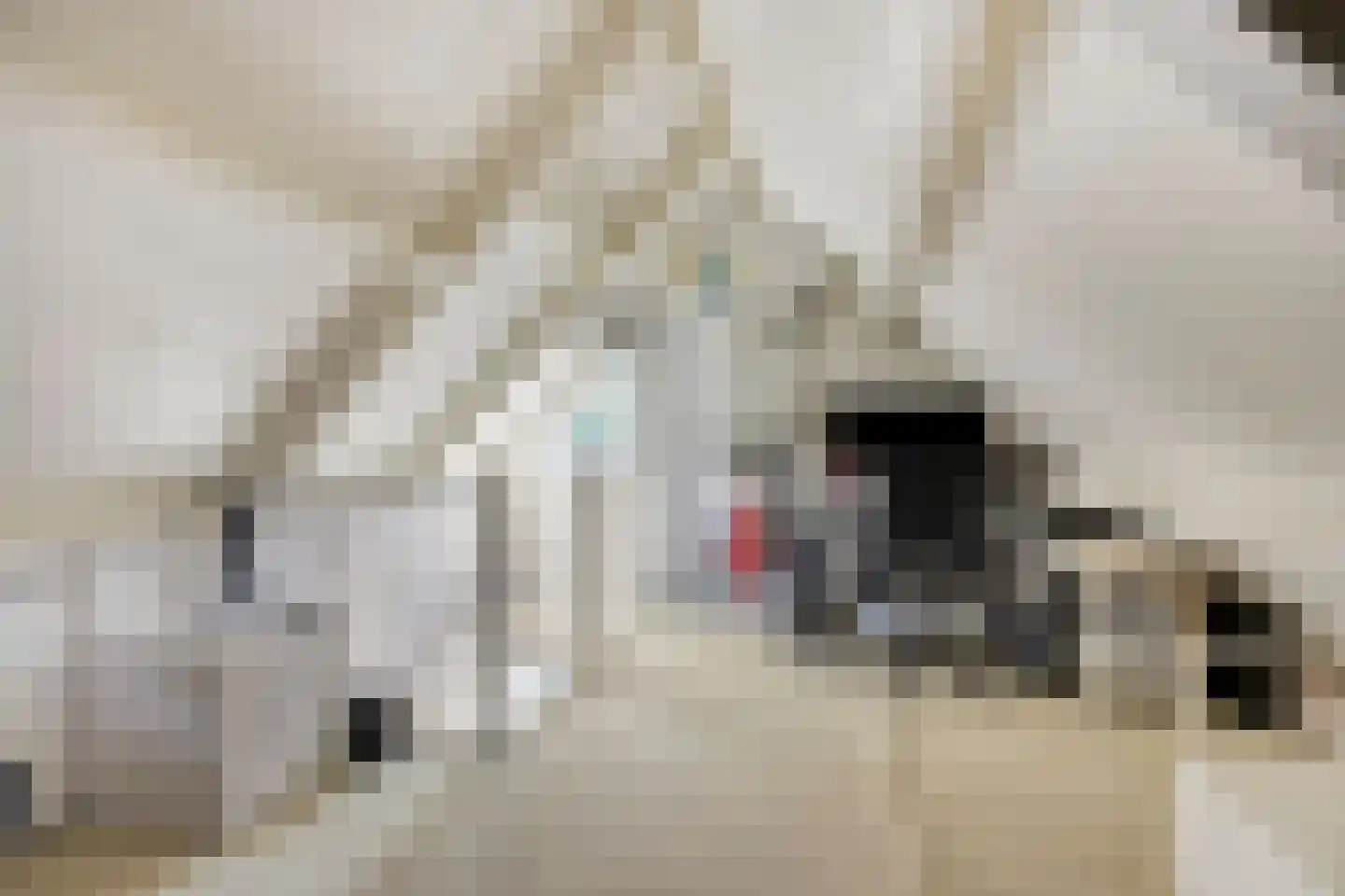 Waterschap 61 Oss thumbnail 36
