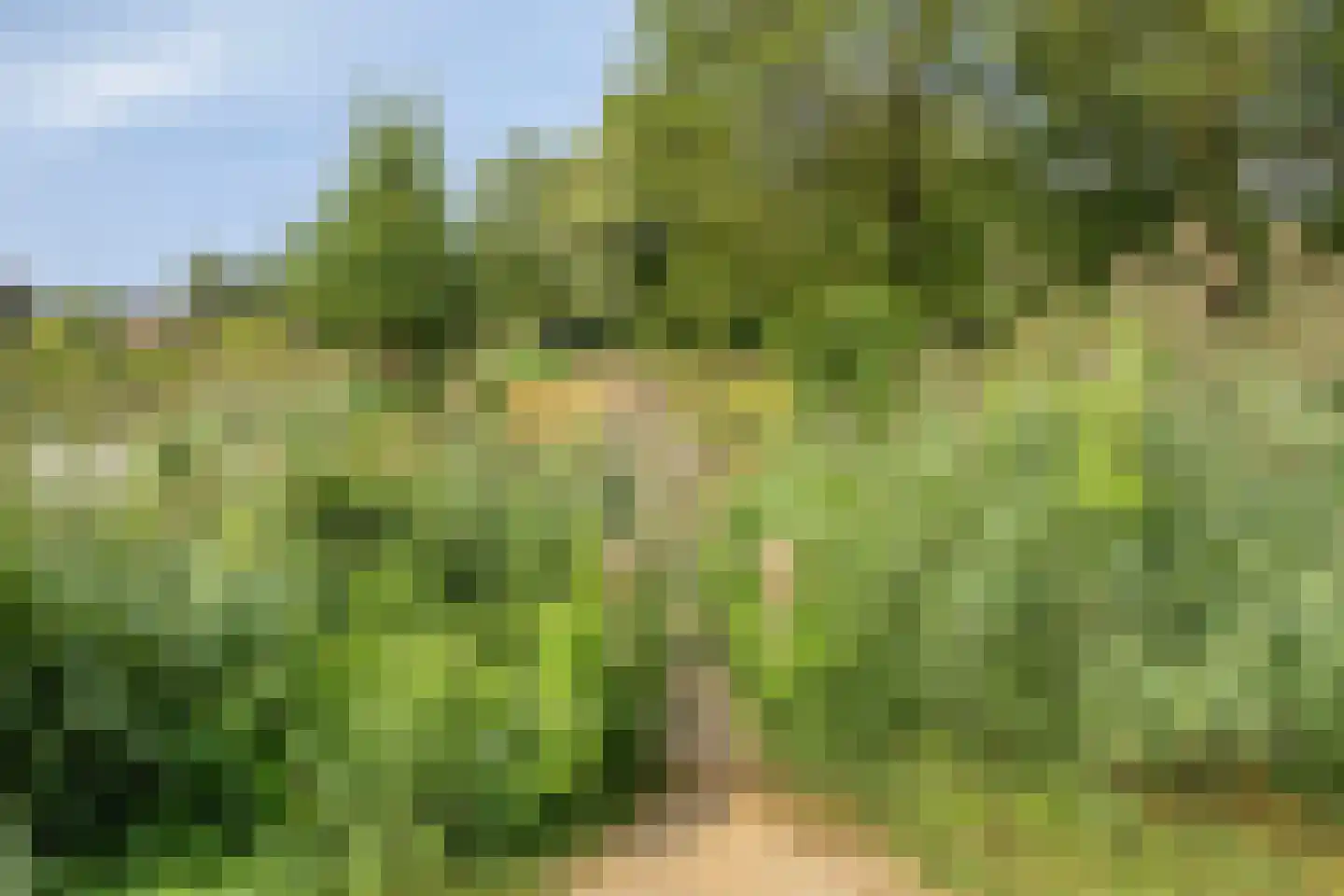 Waterschap 61 Oss thumbnail 41