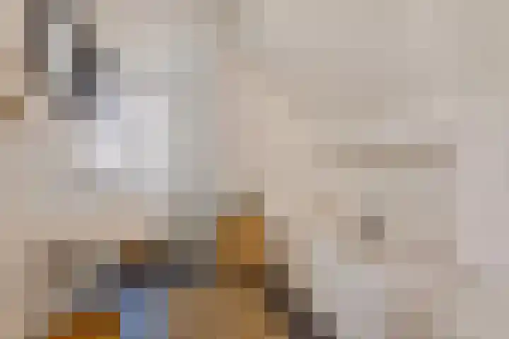 Waterschap 69 Oss thumbnail 15