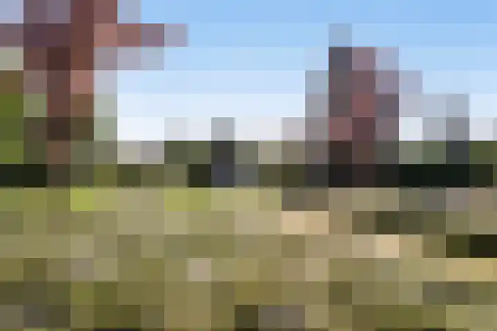 Waterschap 69 Oss thumbnail 37